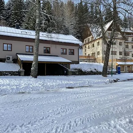 Srni-modry Podkrovi /dvojdomek U Vydra