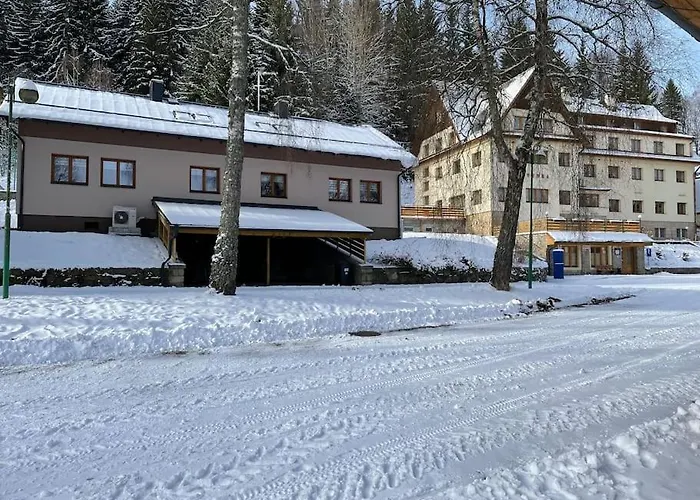 Srni-modry Podkrovi /dvojdomek U Vydra
